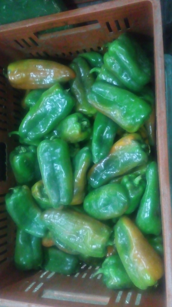 Pimentón Verde