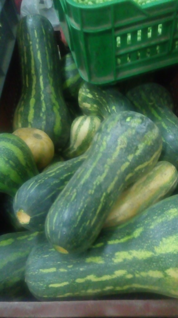 Cebolla cabezona fina