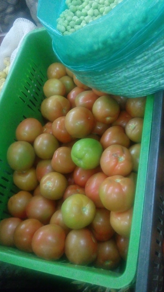Tomate chonto de segunda