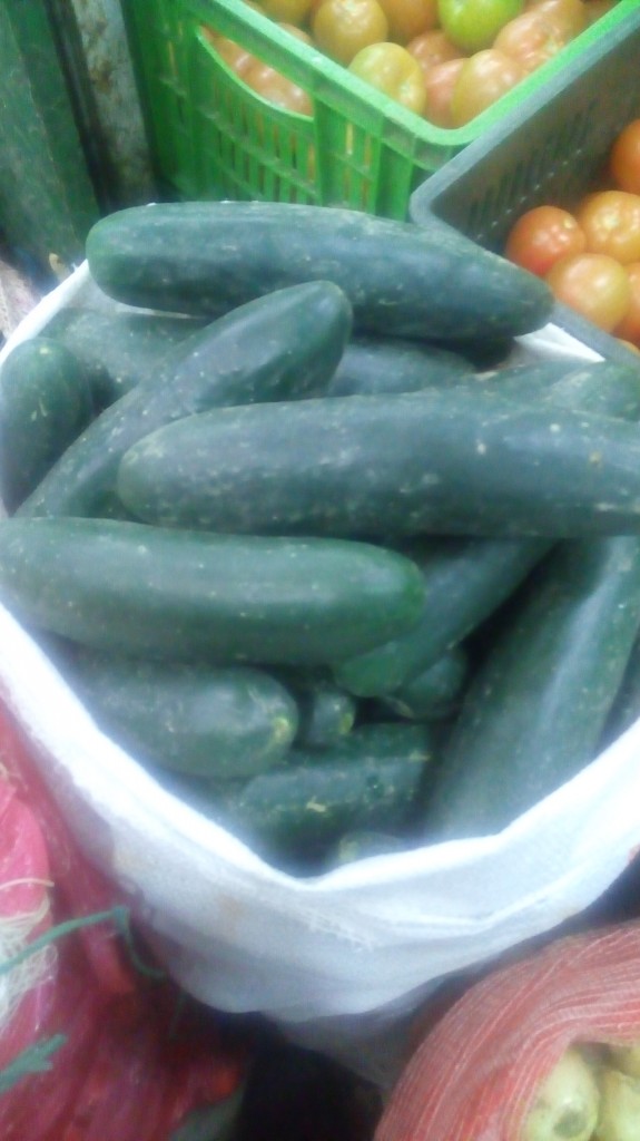 Pepino cohombro