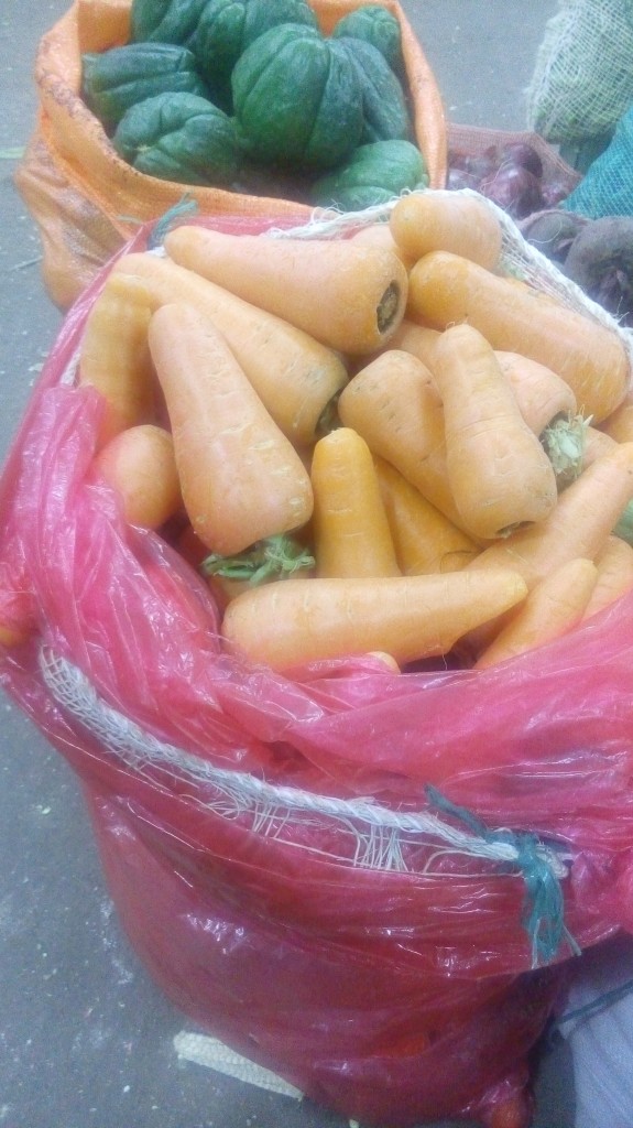Zanahoria