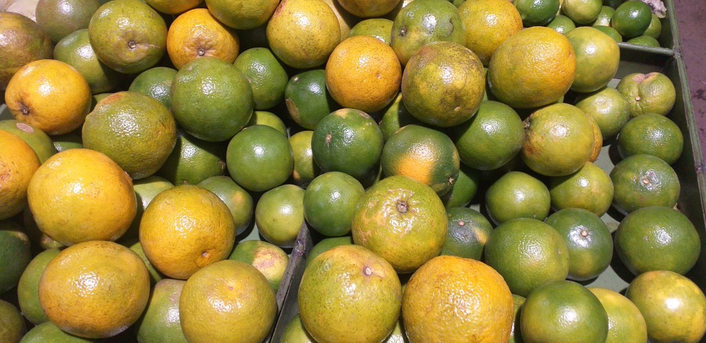 Naranja valencia