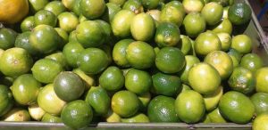 Limon tahiti