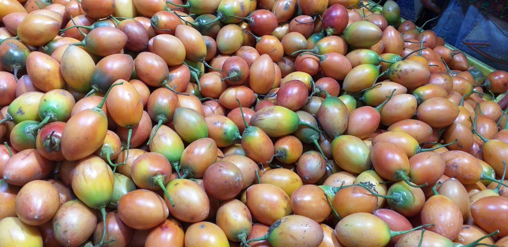 Tomate arbol de 2da