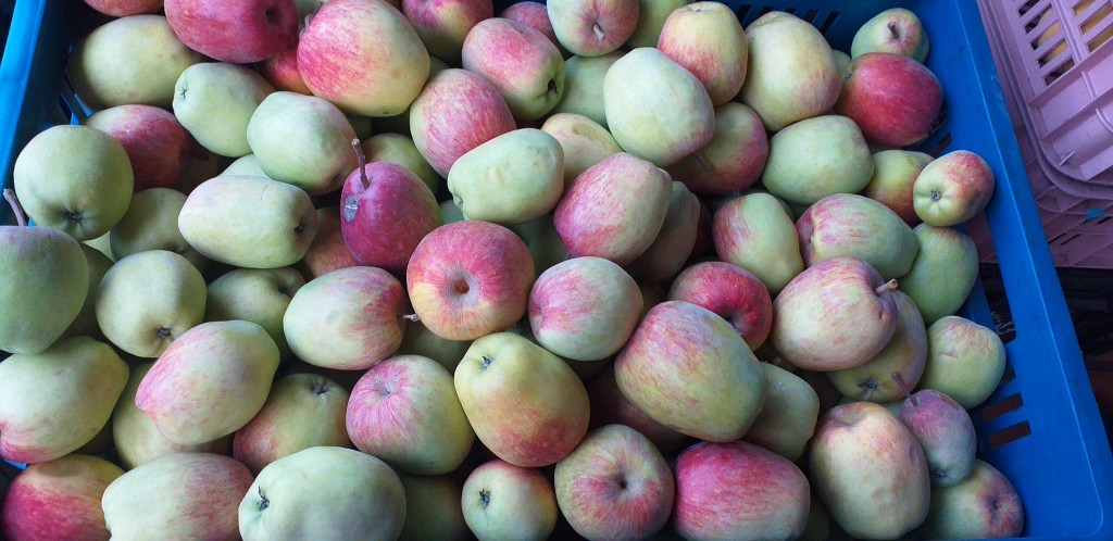 Manzana criolla