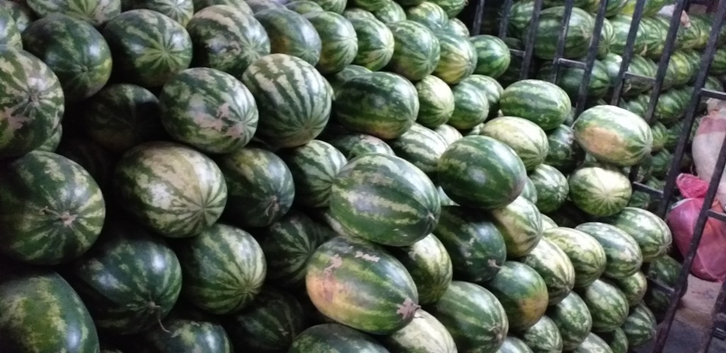 Sandia delgada