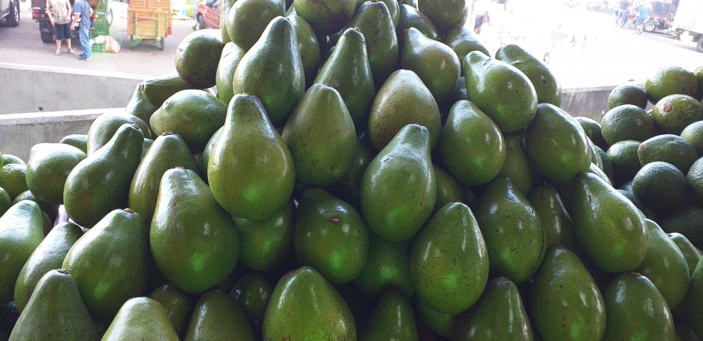 Aguacate papelillo