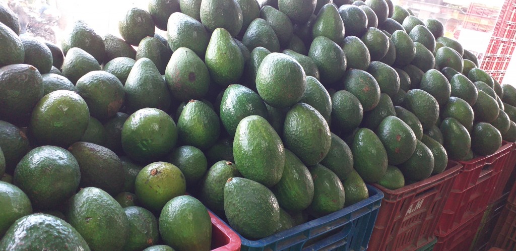 Aguacate booth 8