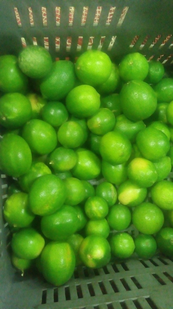 Limón