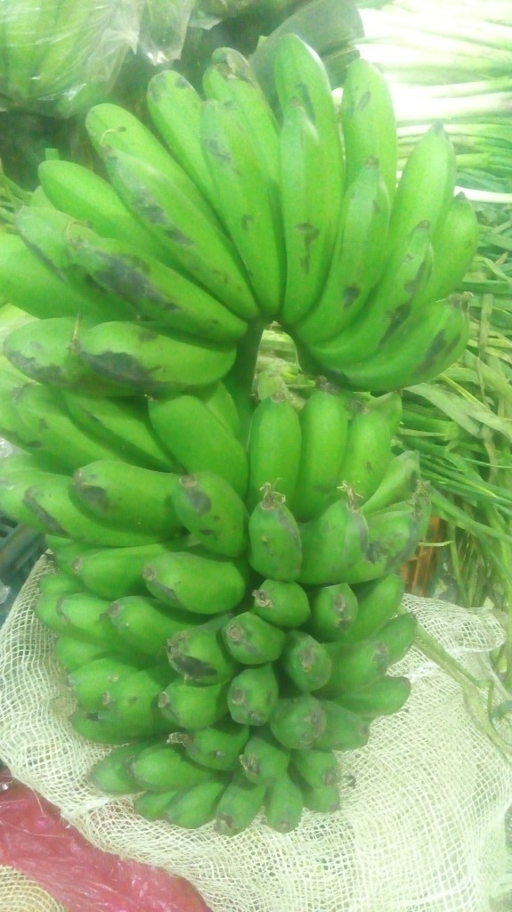 Colicero