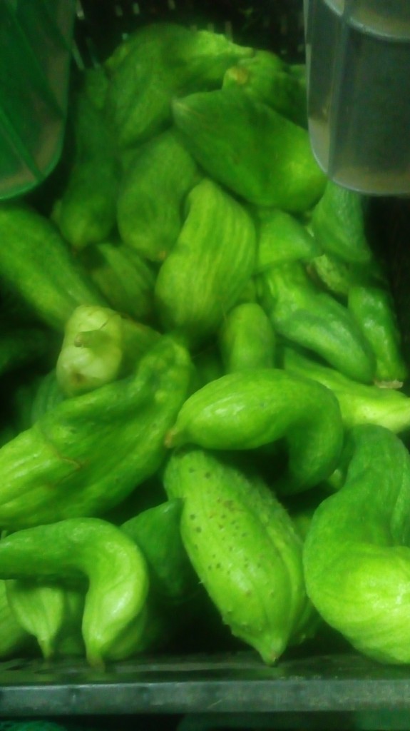 Pepino para guiso