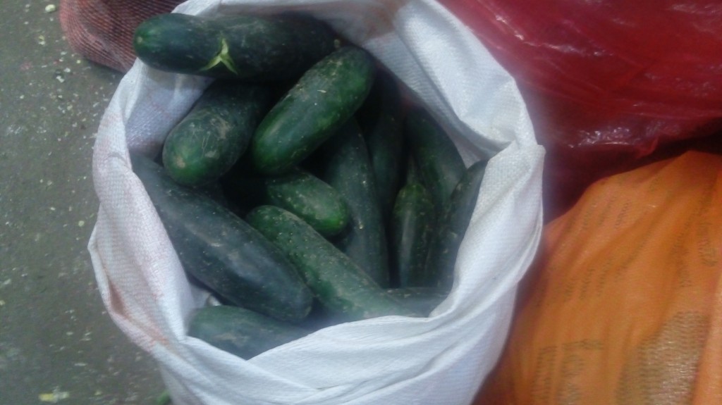 Colicero