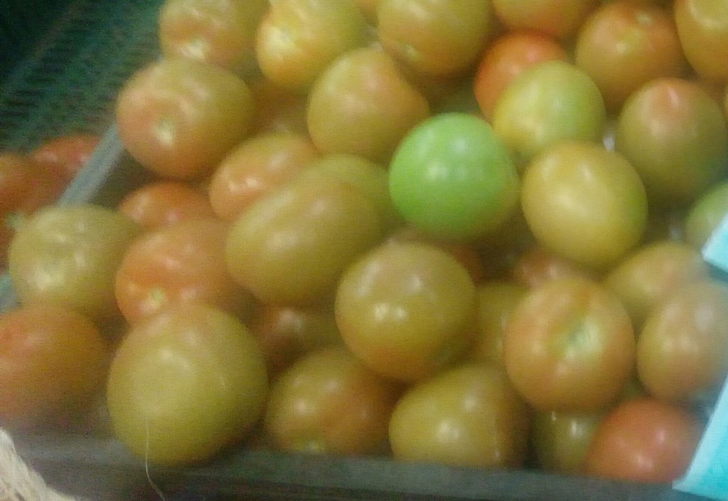 Tomate chonto de tercera