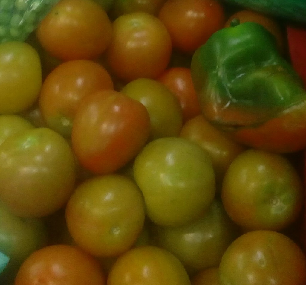 Tomate chonto de primera