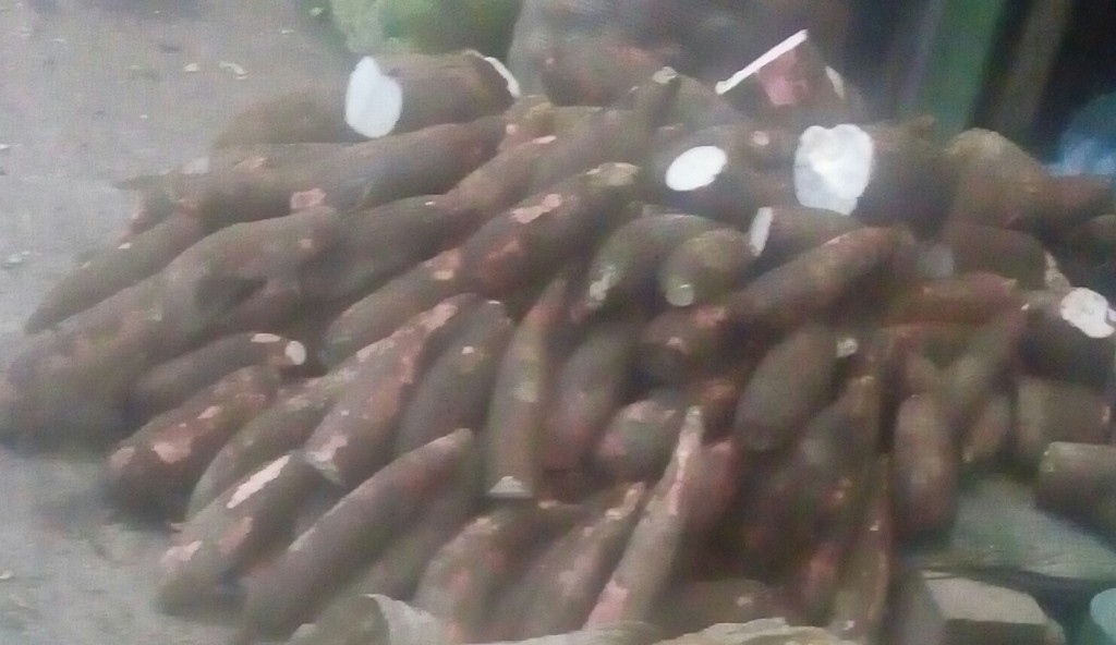 Yuca