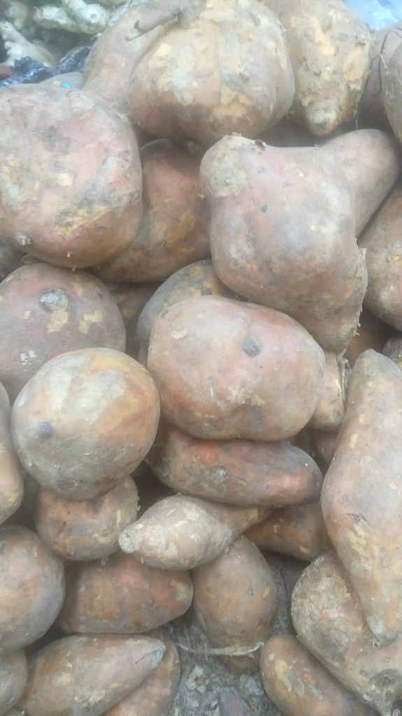 Camote