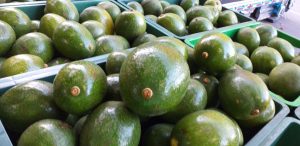 Aguacate choquette