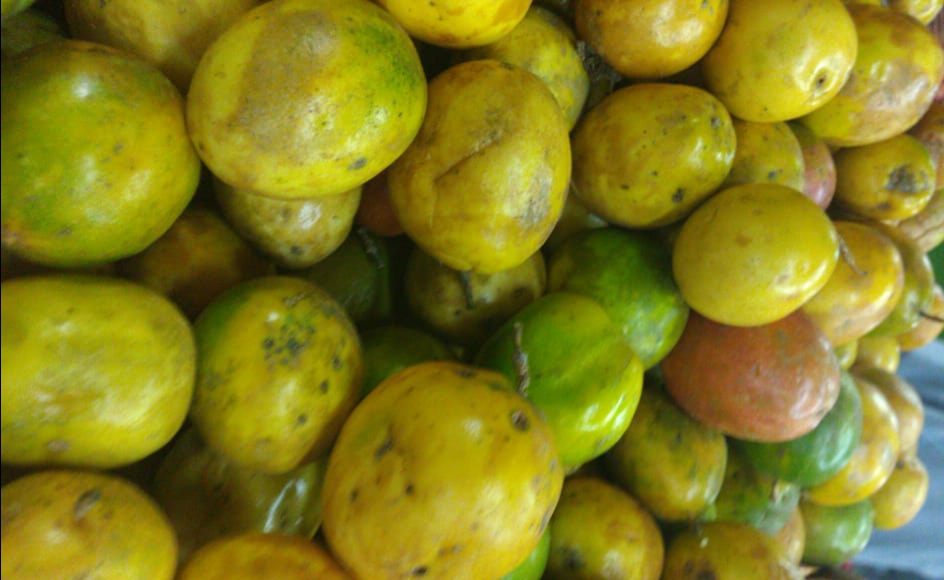 Maracuya para pulpa