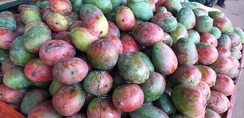 Mango farchi