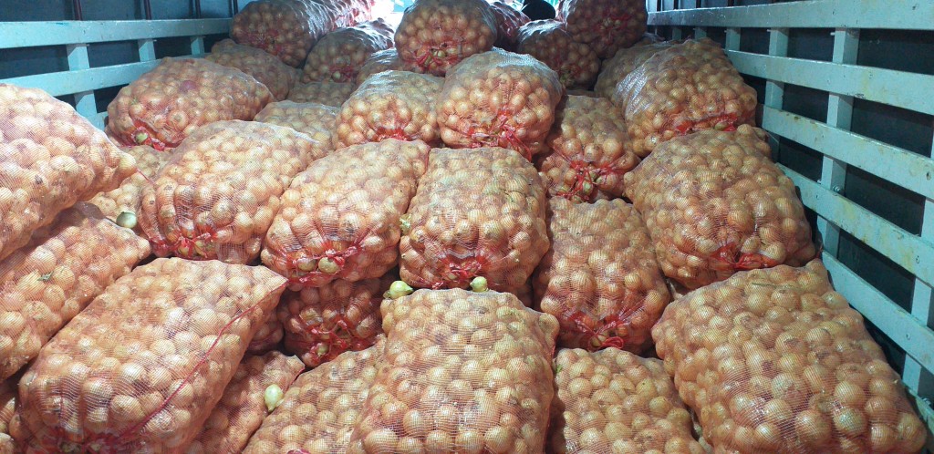 Cebolla de huevo blanca