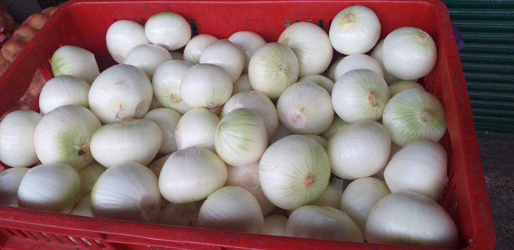 Cebolla blanca pelada