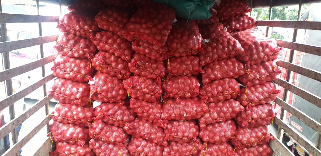 Cebolla peruana