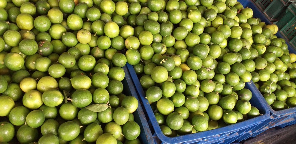 Limon criollo