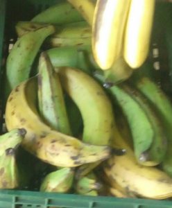 Plátano