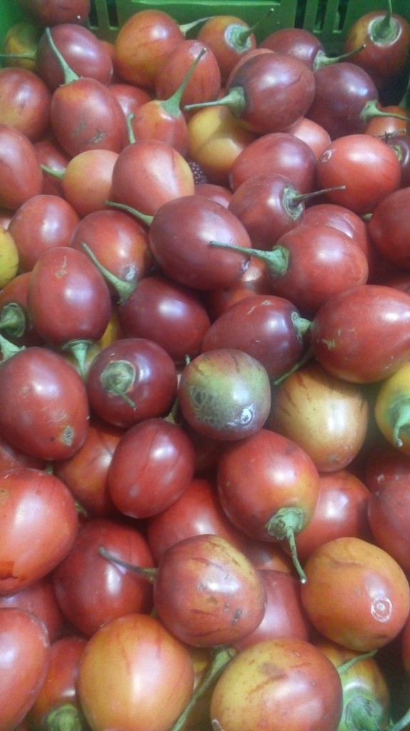 Tomate de árbol de primera calidad