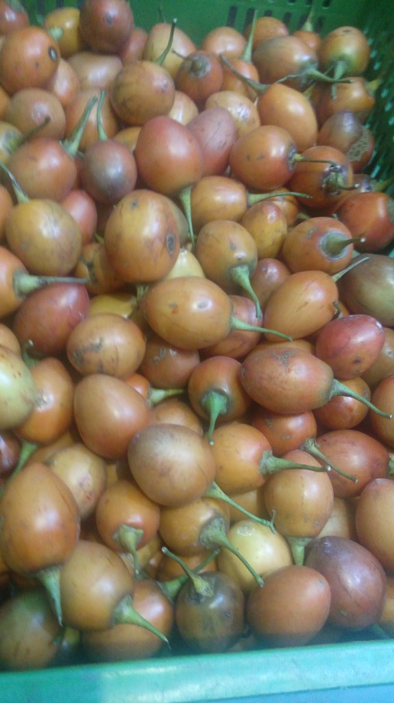 Tomate de árbol de tercera