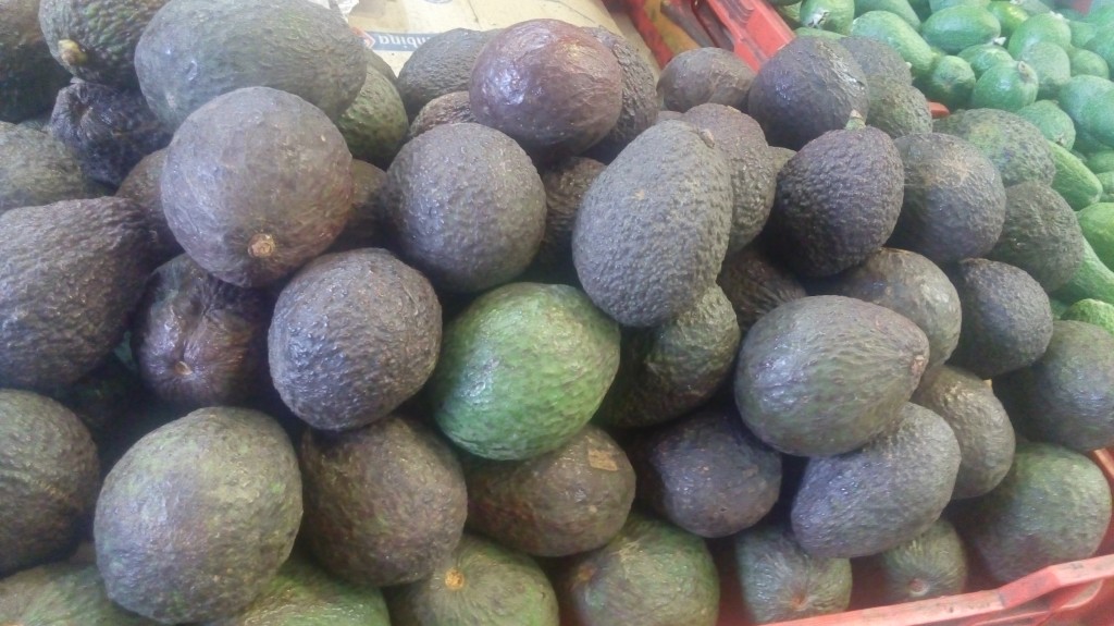 Aguacate Hass
