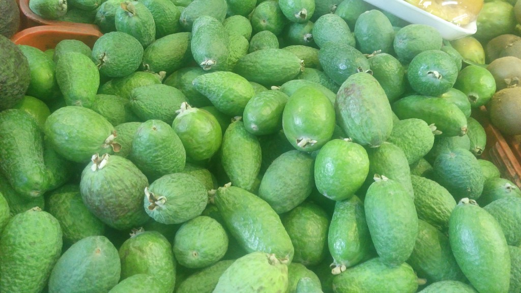 Feijoa