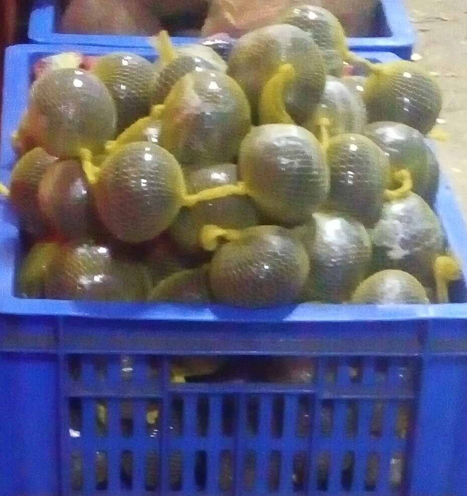 Yuca