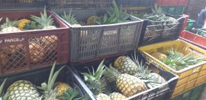 Piña oromiel