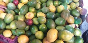 Maracuya extra