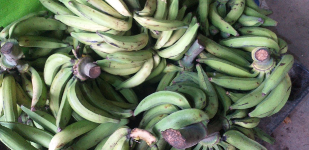 Platano verde