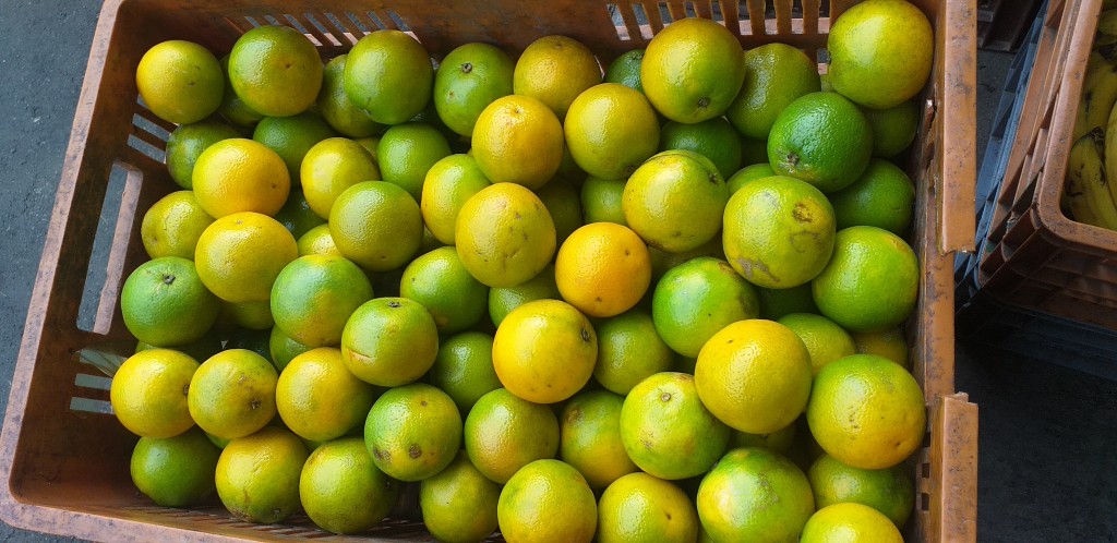 Naranja valencia de 2da