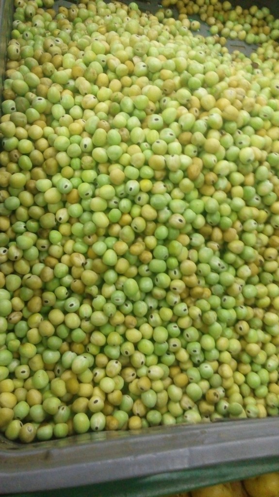 Arveja