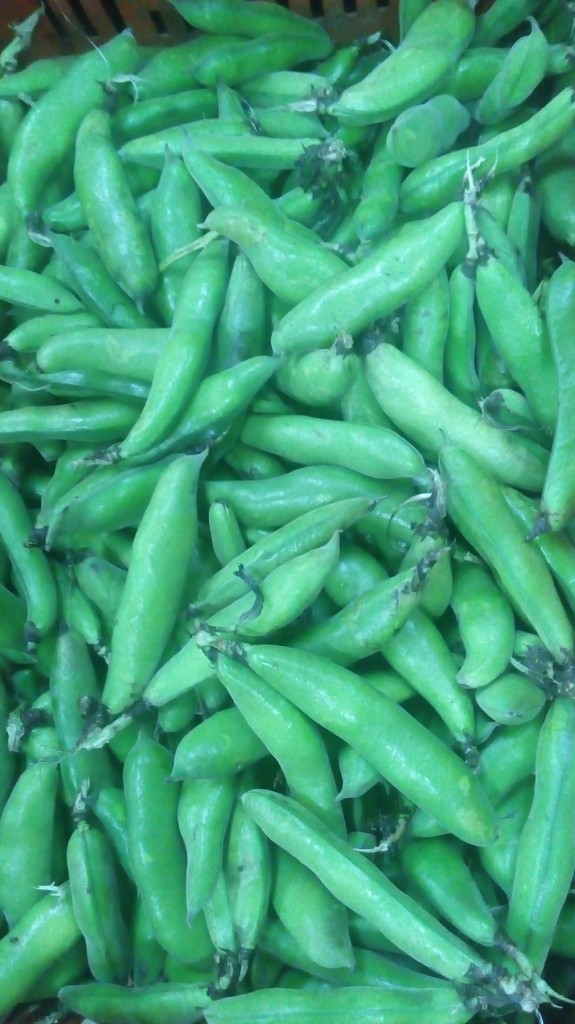 Abas en cáscara