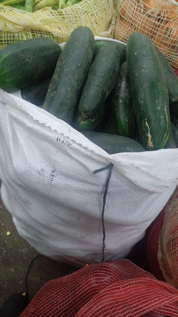 Pepino cohombro