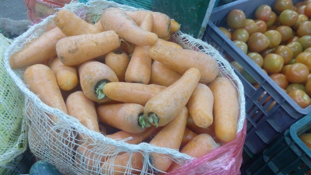 Zanahoria