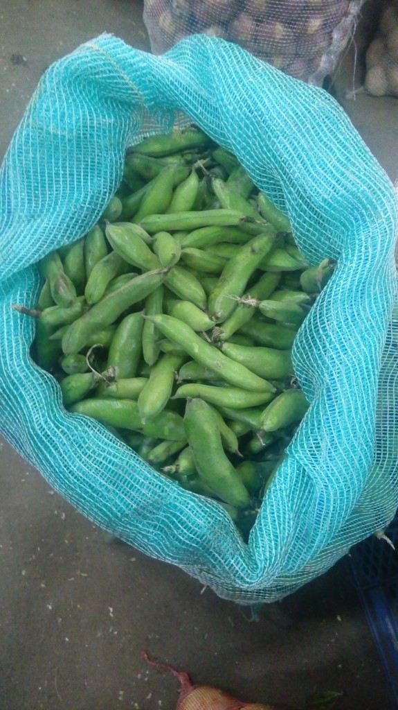 Abas en cáscara