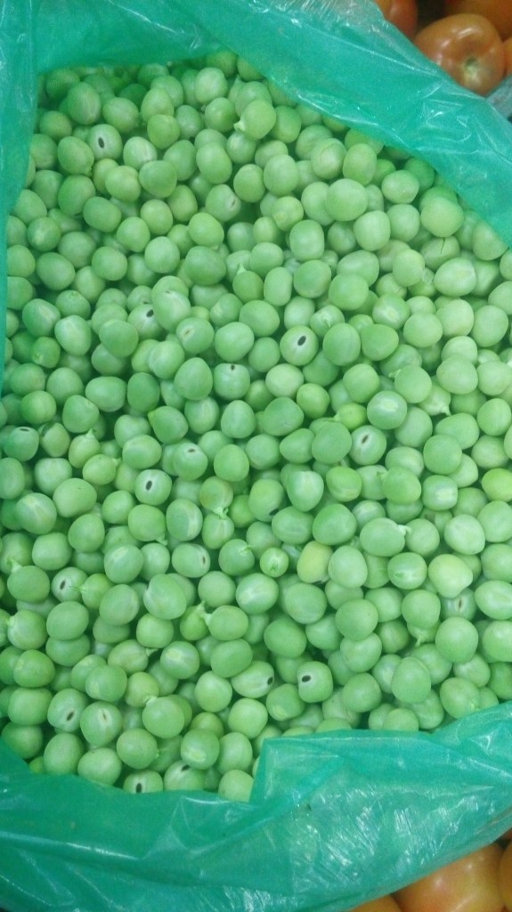Arveja
