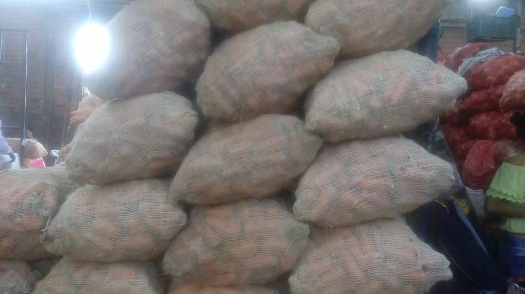 Zanahoria fina