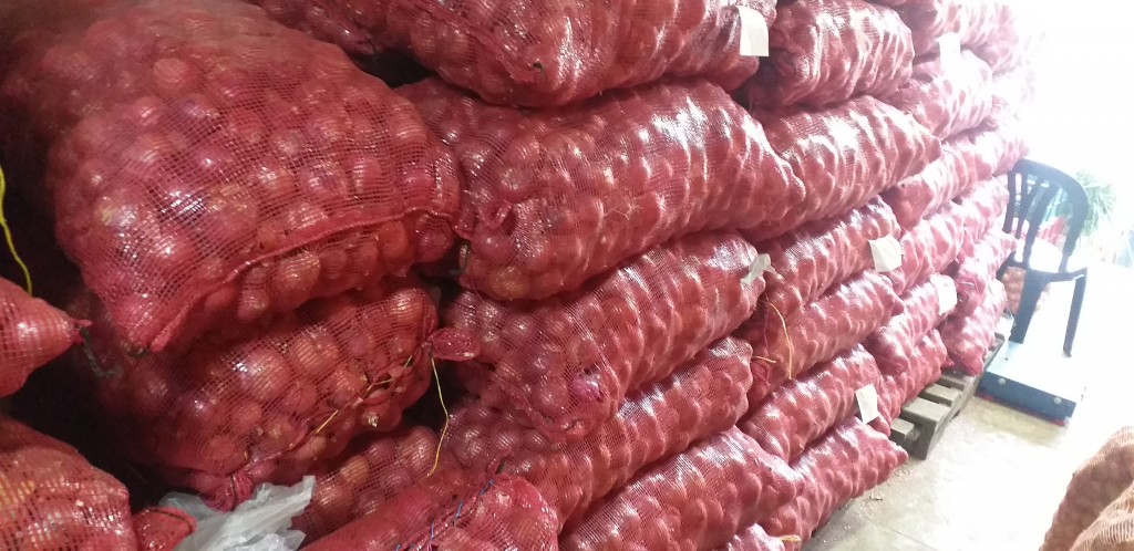 Cebolla peruana