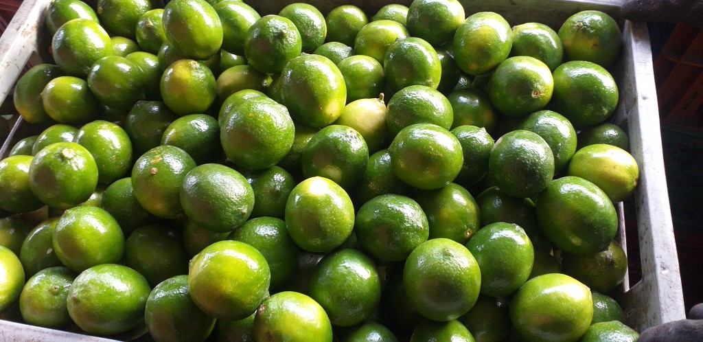 Limon tahiti