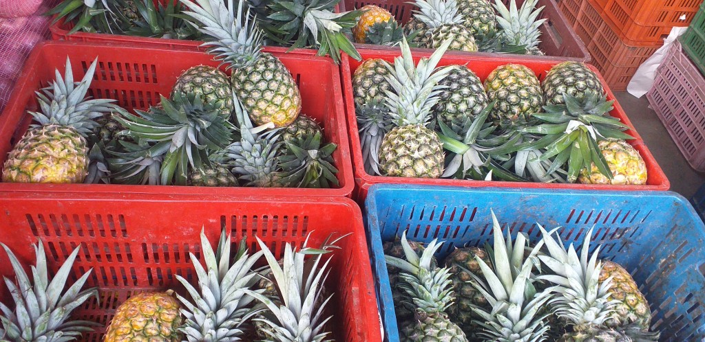 Piña oromiel delgada