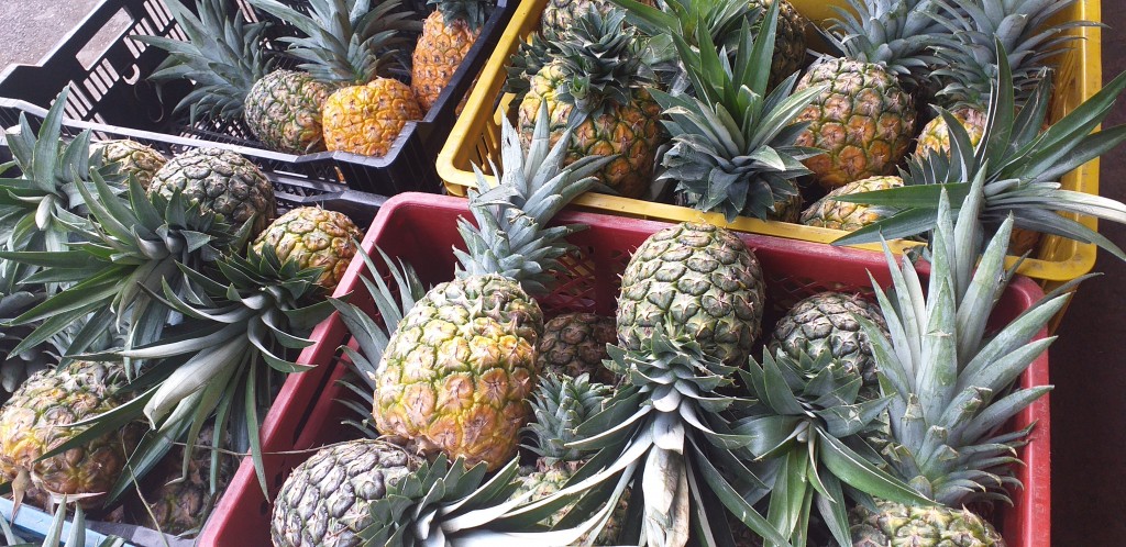 Piña oromiel