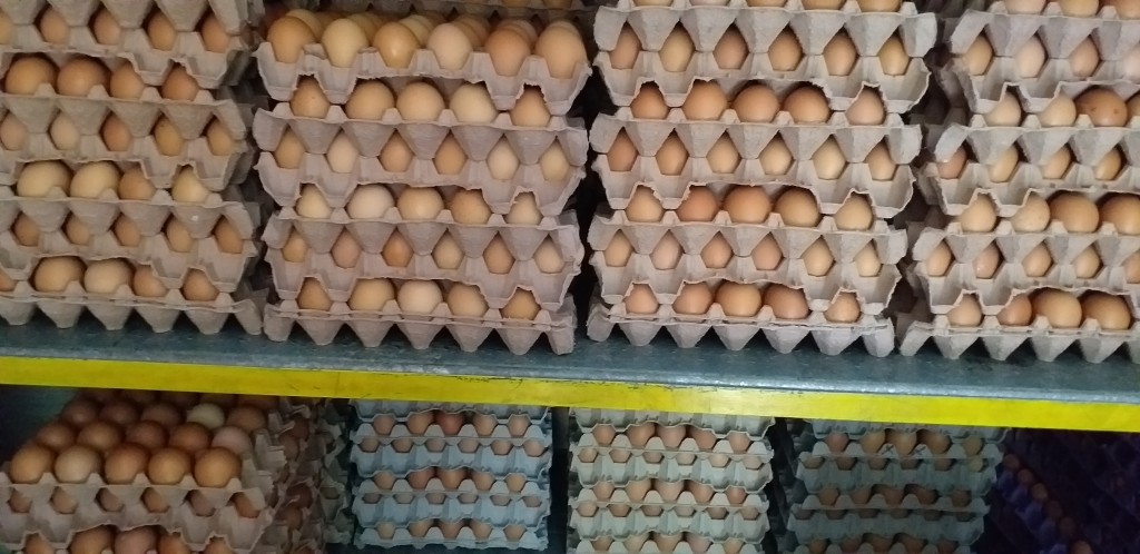 Huevos tipo AAA