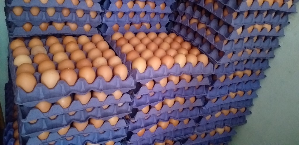 Huevos tipo A